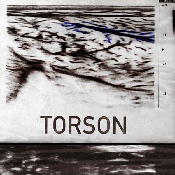 Cover art for Torson